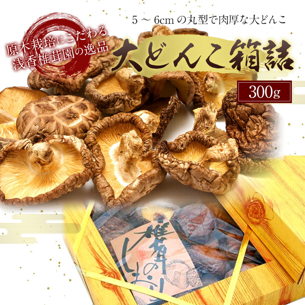 【ふるさと納税】原木栽培椎茸 大どんこ箱詰 300g ギフト箱入り 椎茸 しいたけ 干し椎茸 干ししいたけ 乾椎茸 きのこ 熊本県人吉産 九州 5〜6cmの丸型肉厚 送料無料