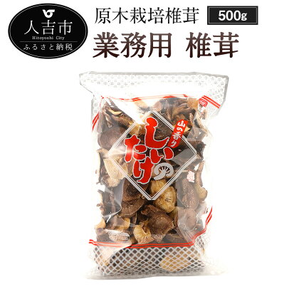 訳あり 原木栽培椎茸 業務用 椎茸 500g しいたけ 干し椎茸 干ししいたけ 乾椎茸 きのこ ご家庭用 熊本県人吉産 九州 送料無料