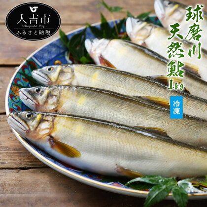 球磨川天然鮎 1kg 6〜8尾 アユ あゆ 魚 魚介類 九州産 熊本県産 人吉産 冷凍 送料無料