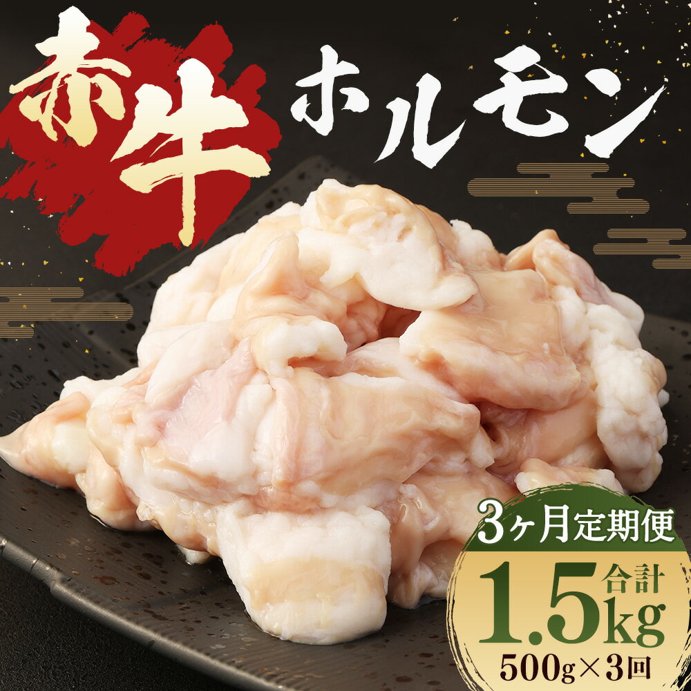 【ふるさと納税】【3ヶ月定期便】赤牛 ホルモン 250g×2パック×3回お届け 合計1.5kg 3ヶ月 定期便 ホルモン 小腸 牛ホルモン もつ 熊本県産 九州産 国産 冷凍 送料無料