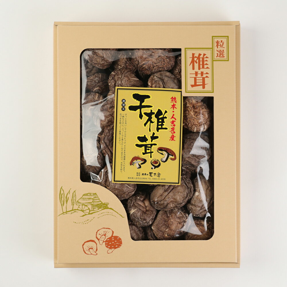 【ふるさと納税】 熊本県 人吉 球磨産 乾椎茸どんこ箱詰 230g×2箱セット 椎茸 しいたけ 干し椎茸 干ししいたけ 乾椎茸 どんこ 原木栽培 送料無料