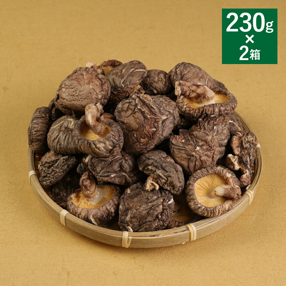 【ふるさと納税】 熊本県 人吉 球磨産 乾椎茸どんこ箱詰 230g×2箱セット 椎茸 しいたけ 干し椎茸 干ししいたけ 乾椎茸 どんこ 原木栽培 送料無料