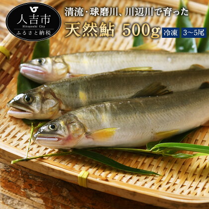 天然鮎 冷凍 約500g 3〜5尾 アユ あゆ 魚 魚介類 九州産 熊本県産 人吉産 送料無料