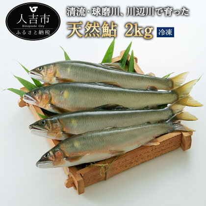 天然鮎 冷凍 約2kg アユ あゆ 魚 魚介類 九州産 熊本県産 人吉産 送料無料