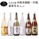 【ふるさと納税】人吉の酒 本格米焼酎一升瓶豪華6本セット 白...