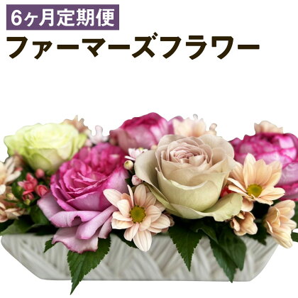 【6ヶ月定期便】ファーマーズフラワー by the Bouquet KUMAMOTO 6回お届け 35×35×35cm 種類おまかせ ランダム 定期便 フラワーアレンジメント 花 お花 フラワー インテリア 贈り物 熊本県 人吉市 送料無料