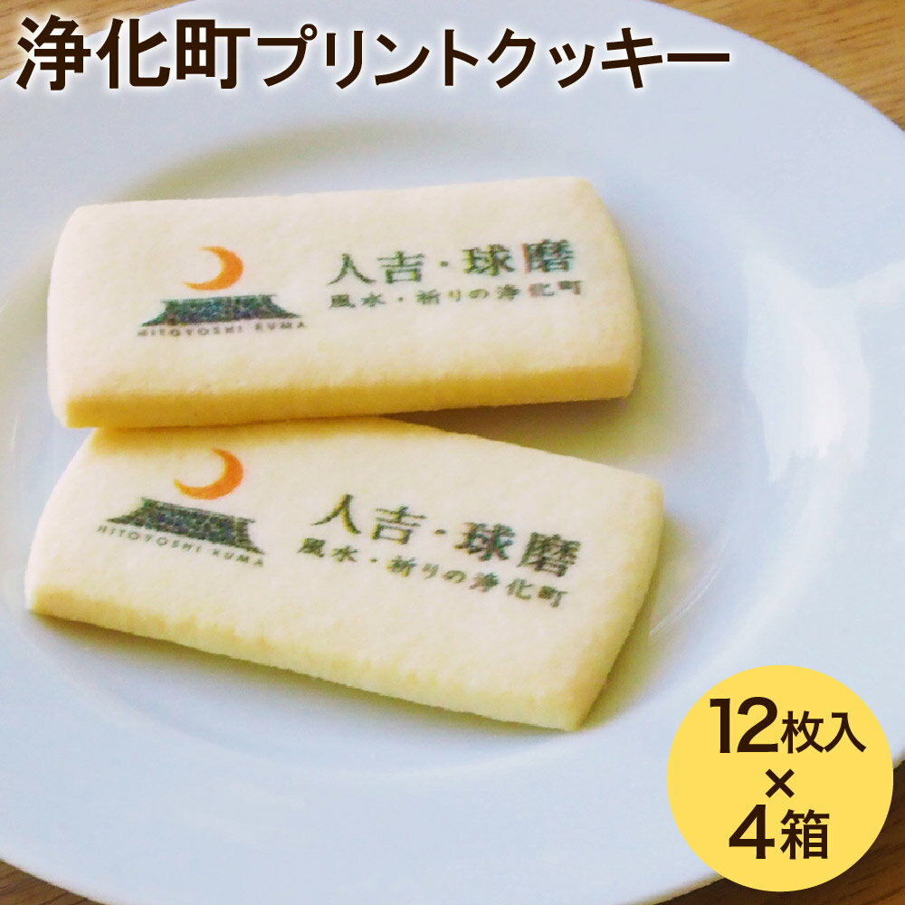 人吉・球磨 風水・祈りの浄化町 プリントクッキー 合計48枚 12枚入り×4箱 クッキー サブレ 焼き菓子 おやつ お菓子 菓子 プレーン おみくじ付き 送料無料