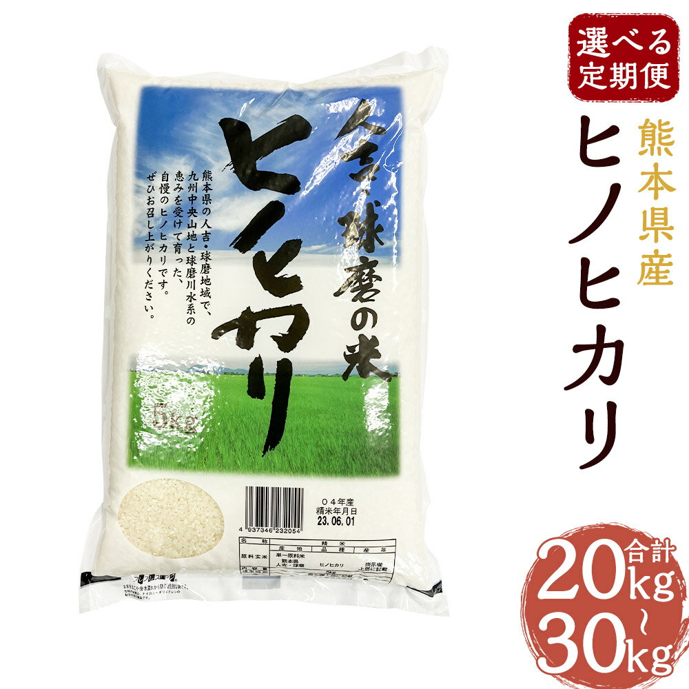 【ふるさと納税】【選べる定期便】ヒノヒカリ 10kg 2ヶ月/3ヶ月 定期便 精米 白米 お米 熊本県産 九州産 送料無料