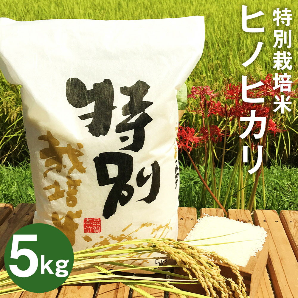 特別栽培米 ヒノヒカリ 5kg 精米 白米 令和5年産 お米 九州産 熊本県産 熊本県球磨郡相良村産 送料無料