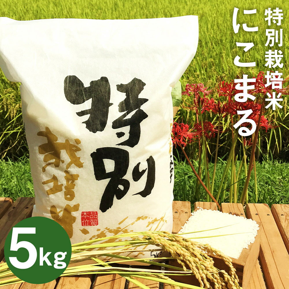 【ふるさと納税】特別栽培米 にこまる 5kg 精米 白米 令和4年度産 新米 お米 ...