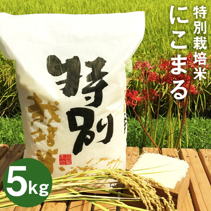 【ふるさと納税】特別栽培米 にこまる 5kg 精米 白米 令和5年産 お米 九州産 ...