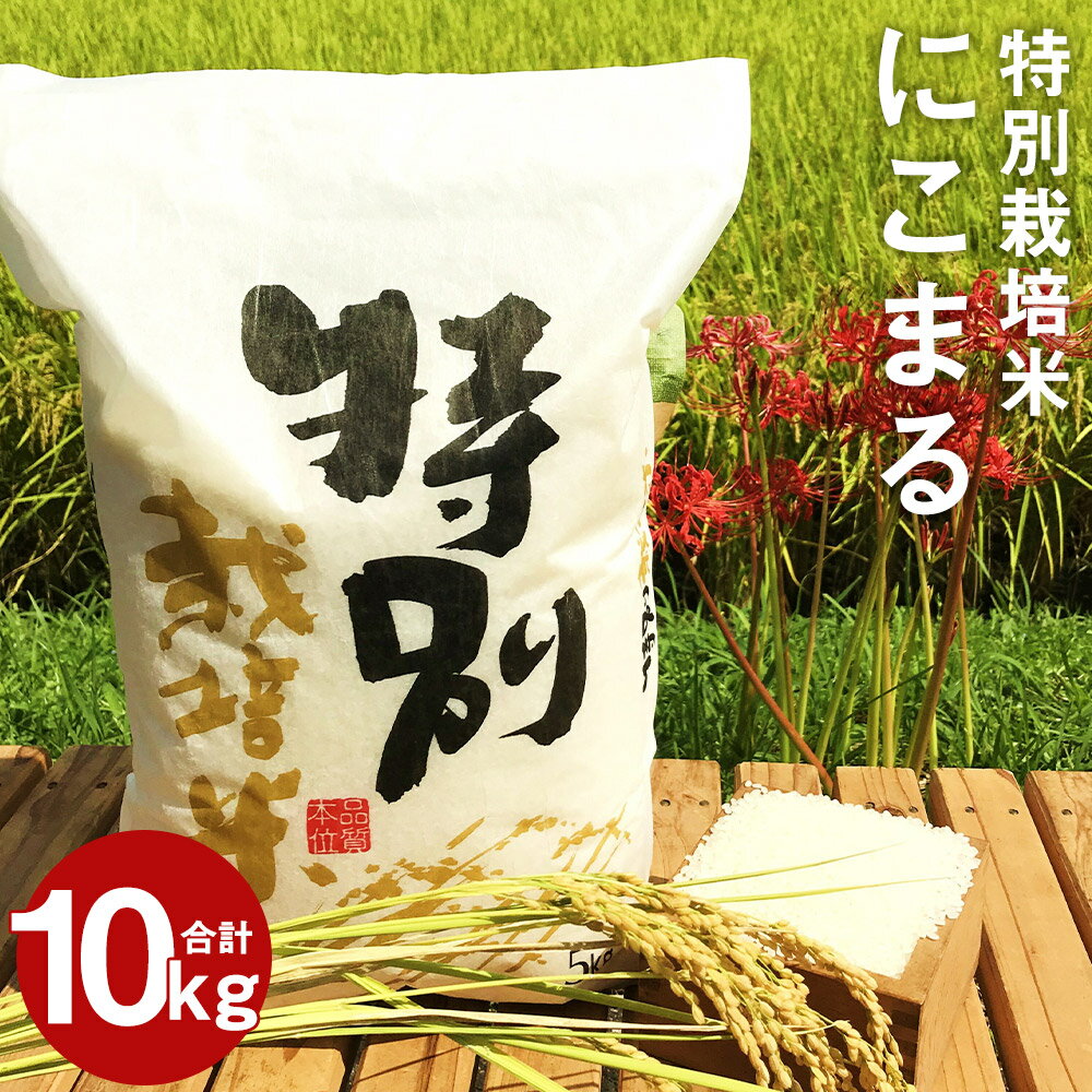 【ふるさと納税】特別栽培米 にこまる 合計10kg 5kg×2袋 精米 白米 令和4...