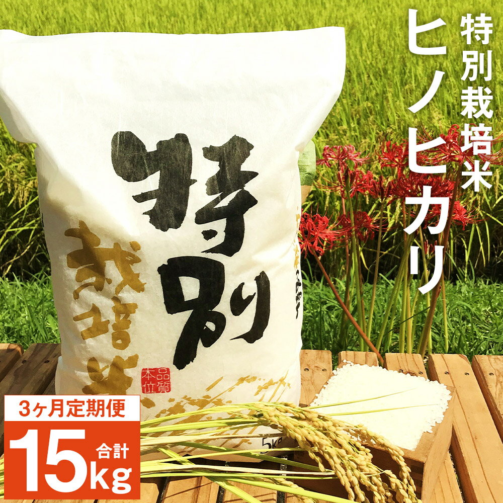 【ふるさと納税】【3ヶ月定期便】特別栽培米 ヒノヒカリ 5kg×3回お届け 合計15kg 定期便 精米 白米 お米 九州産 熊本県産 熊本県球磨郡相良村産 送料無料