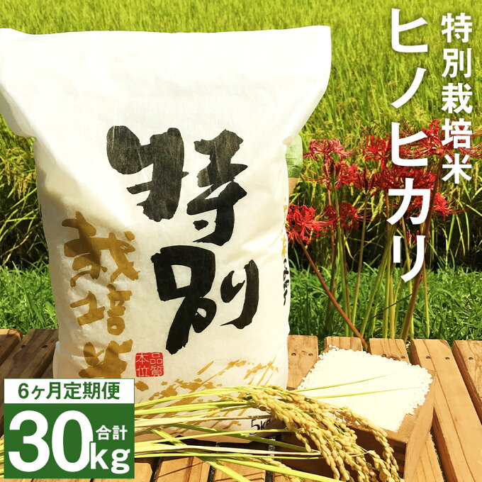 【ふるさと納税】【6ヶ月定期便】特別栽培米 ヒノヒカリ 5kg×6回お届け 合計30kg 定期便 精米 白米 お米 九州産 熊本県産 熊本県球磨郡相良村産 送料無料