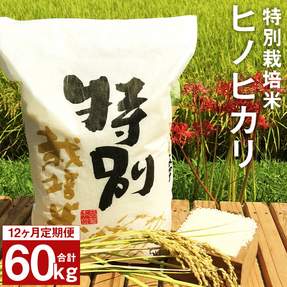 人気ランキング第33位「熊本県人吉市」口コミ数「0件」評価「0」【12ヶ月定期便】特別栽培米 ヒノヒカリ 5kg×12回お届け 合計60kg 定期便 精米 白米 お米 九州産 熊本県産 熊本県球磨郡相良村産 送料無料