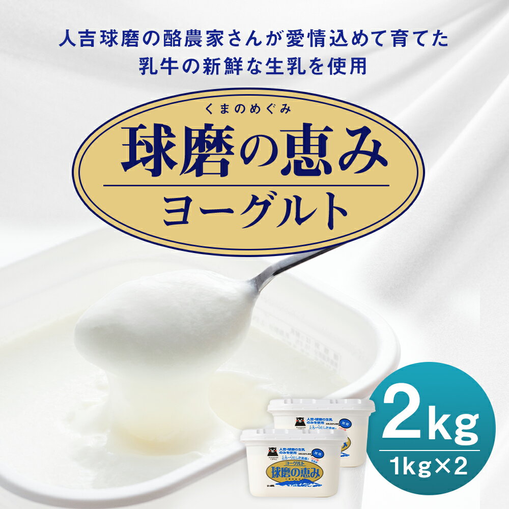 【ふるさと納税】球磨の恵み ヨーグルト 1kg×2パック 合計2kg 人吉球磨産 乳製品 送料無料