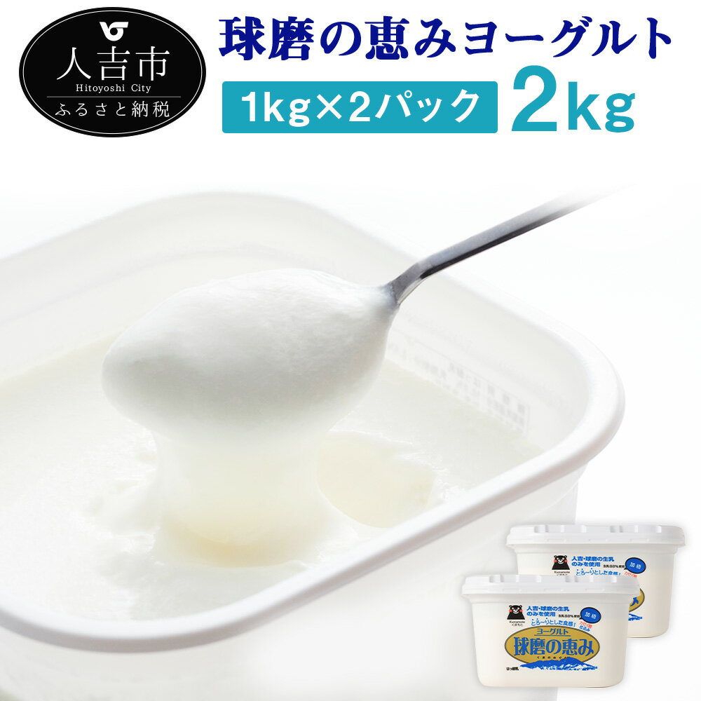 【ふるさと納税】球磨の恵み ヨーグルト 1kg×2パック 合計2kg 人吉球磨産 乳製品 送料無料