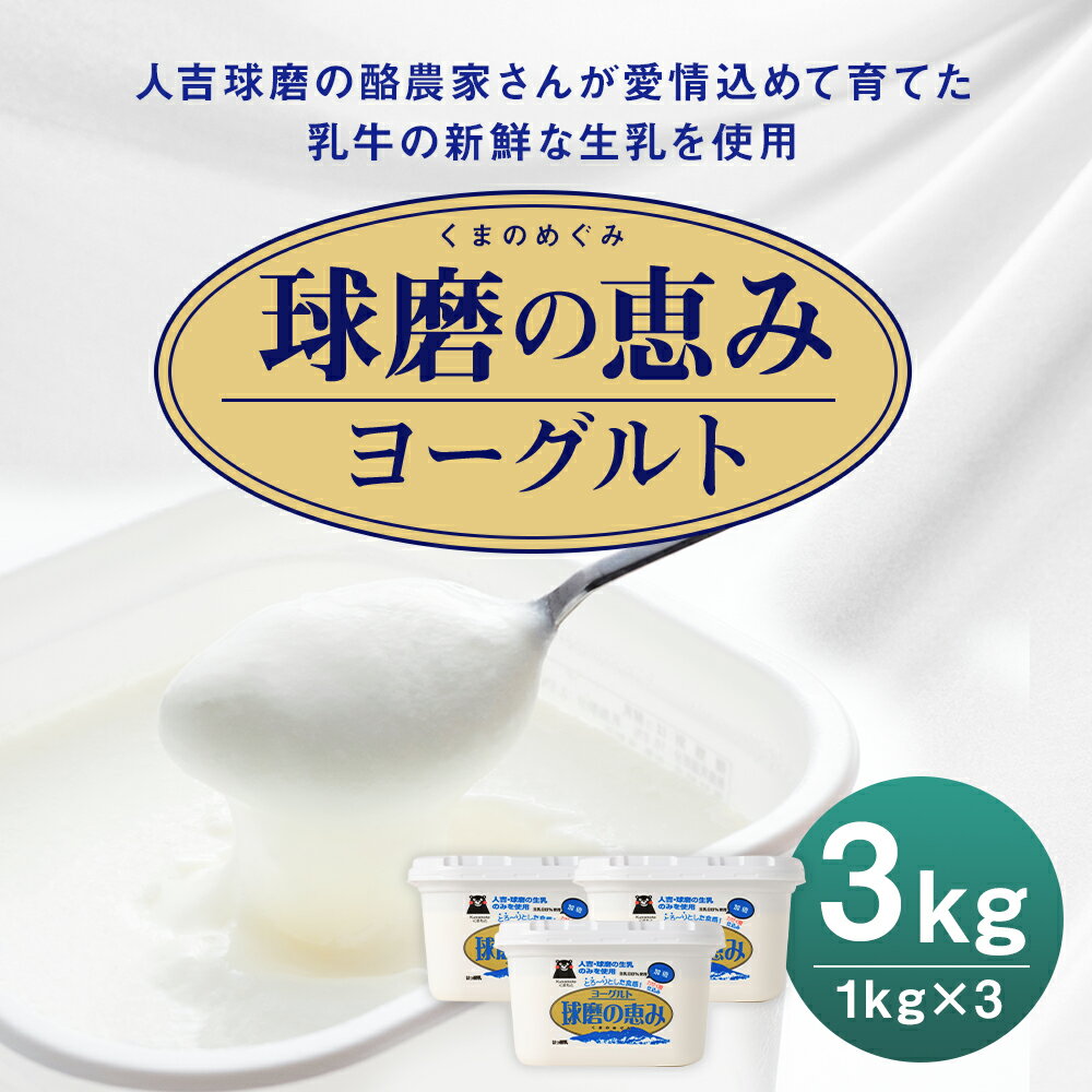 【ふるさと納税】球磨の恵み ヨーグルト 1kg×3パック 合計3kg 人吉球磨産 乳製品 送料無料