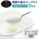 5位! 口コミ数「0件」評価「0」球磨の恵み ヨーグルト 1kg×3パック 合計3kg 人吉球磨産 乳製品 送料無料