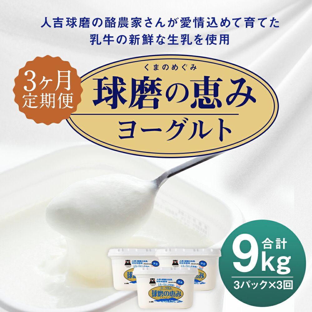 【ふるさと納税】【3ヶ月定期便】球磨の恵み ヨーグルト 1kg×3パック×3回お届け 合計9kg 3ヶ月 定期便 人吉球磨産 乳製品 送料無料