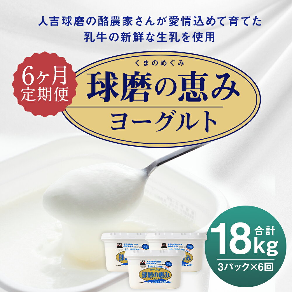 【ふるさと納税】【6ヶ月定期便】球磨の恵み ヨーグルト 1kg×3パック×6回お届け 合計18kg 6ヶ月 定期便 人吉球磨産 乳製品 送料無料