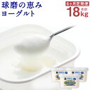 3位! 口コミ数「0件」評価「0」【6ヶ月定期便】球磨の恵み ヨーグルト 1kg×3パック×6回お届け 合計18kg 6ヶ月 定期便 人吉球磨産 乳製品 送料無料