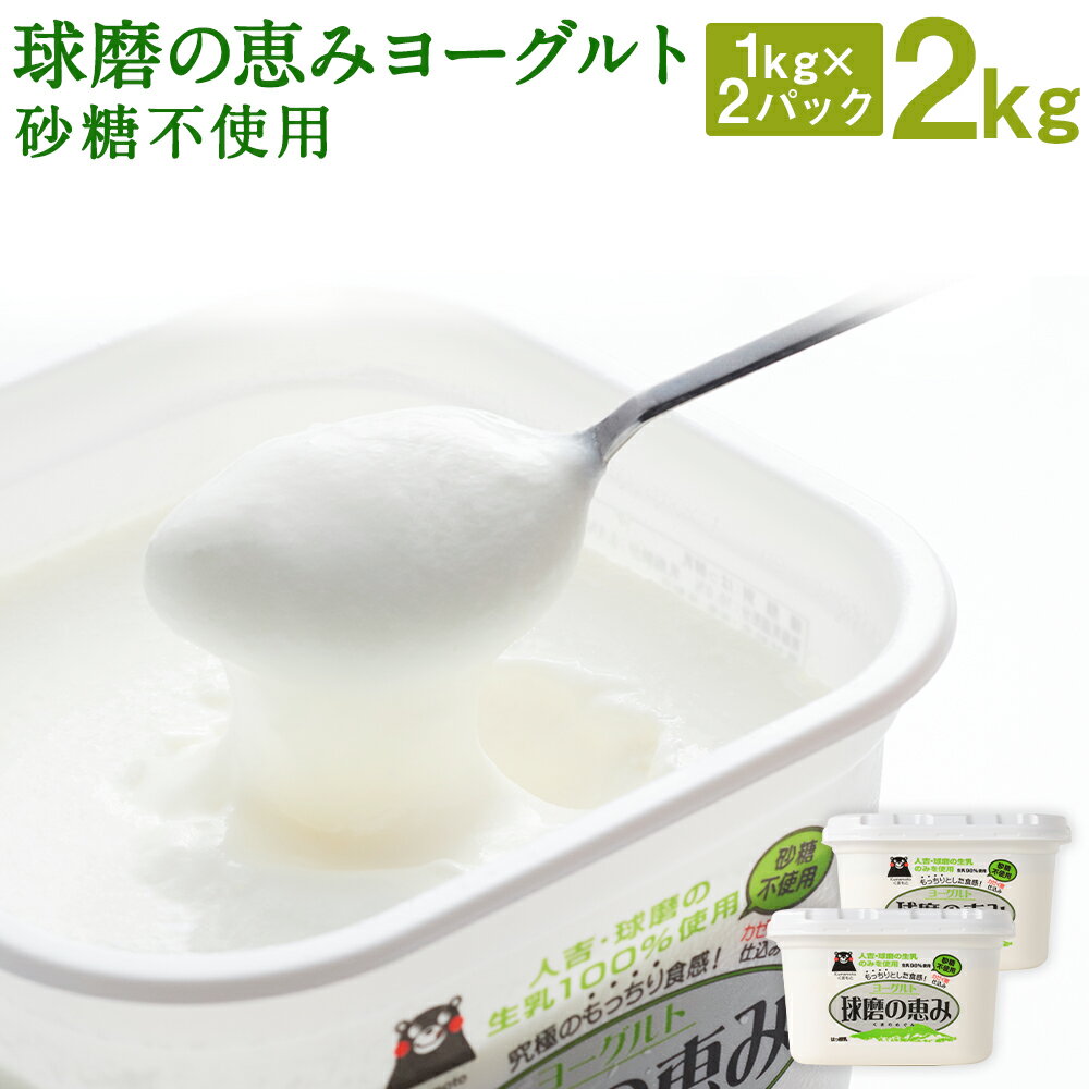 球磨の恵み ヨーグルト 砂糖不使用 1kg×2パック 合計2kg 無糖 人吉球磨産 乳製品 送料無料