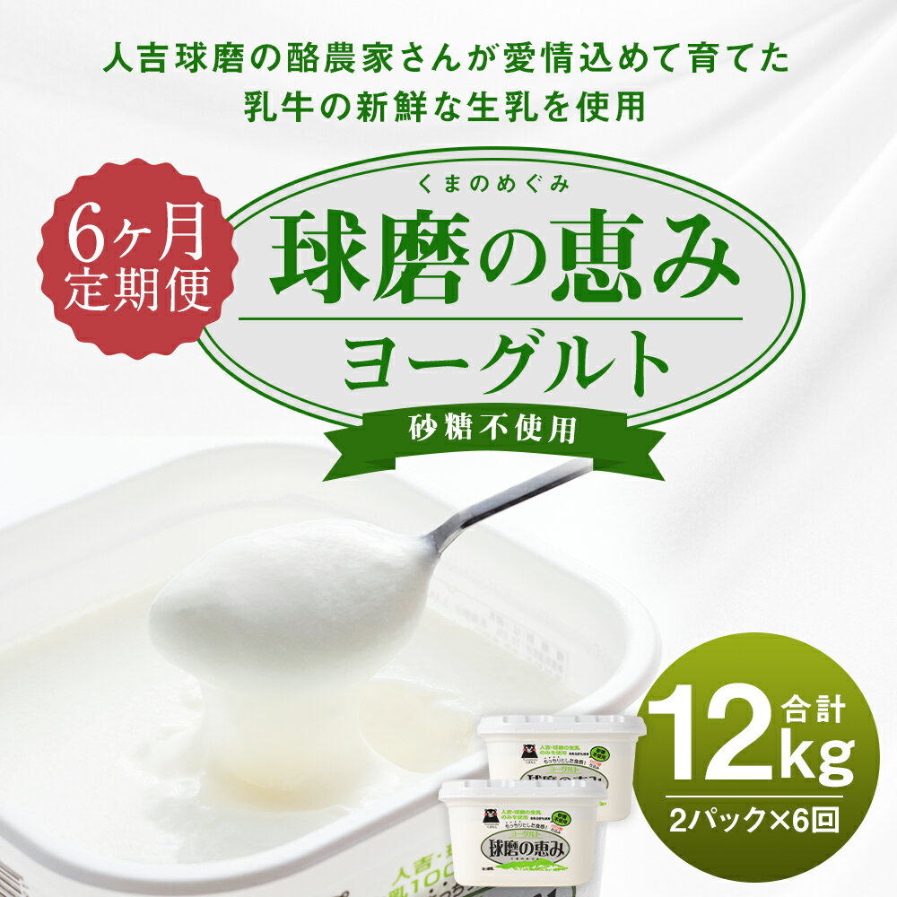 【ふるさと納税】【6ヶ月定期便】球磨の恵み ヨーグルト 砂糖不使用 1kg×2パック×6回お届け 合計12kg 6ヶ月 定期便 無糖 人吉球磨産 乳製品 送料無料