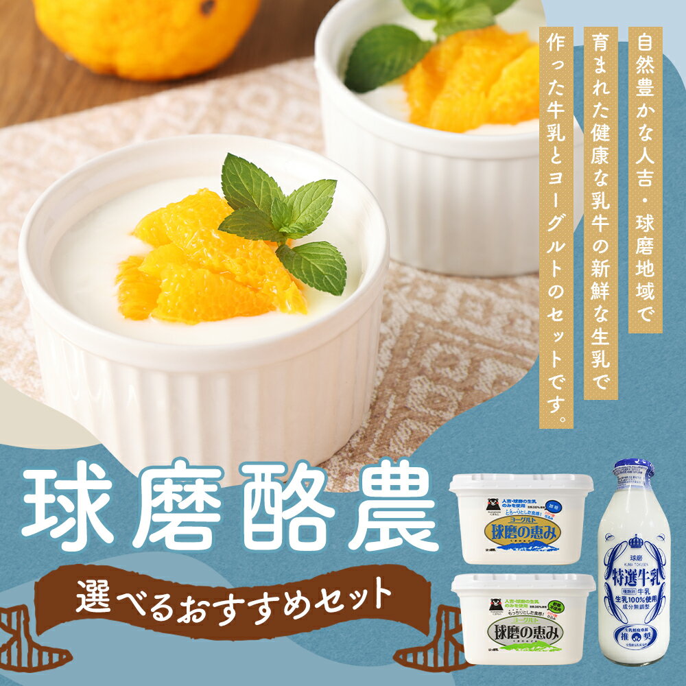 【ふるさと納税】球磨酪農おすすめセット 選べるセット 瓶牛乳 ヨーグルト 加糖 砂糖不使用 乳製品 牛乳 瓶 熊本県産 九州産 冷蔵 送料無料