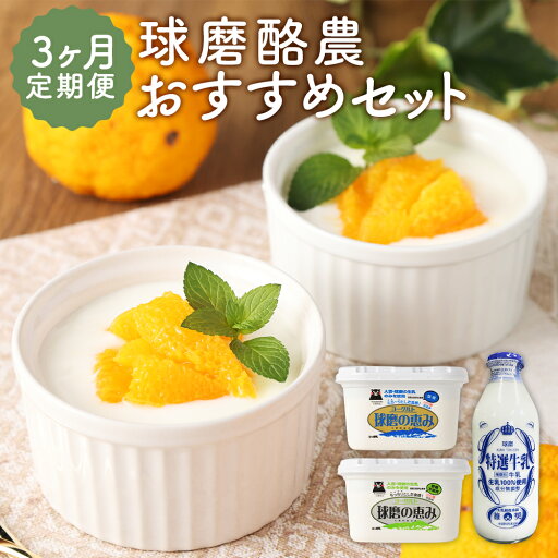 【ふるさと納税】【3ヶ月定期便】球磨酪農おすすめセット 選べるセット 3回お届け 定期便 瓶牛乳 ヨーグルト 加糖 砂糖不使用 乳製品 牛乳 瓶 熊本県産 九州産 冷蔵 送料無料 【ふるさと納税】【3ヶ月定期便】球磨酪農おすすめセット 選べるセット 3回お届け 定期便 瓶牛乳 ヨーグルト 加糖 砂糖不使用 乳製品 牛乳 瓶 熊本県産 九州産 冷蔵 送料無料