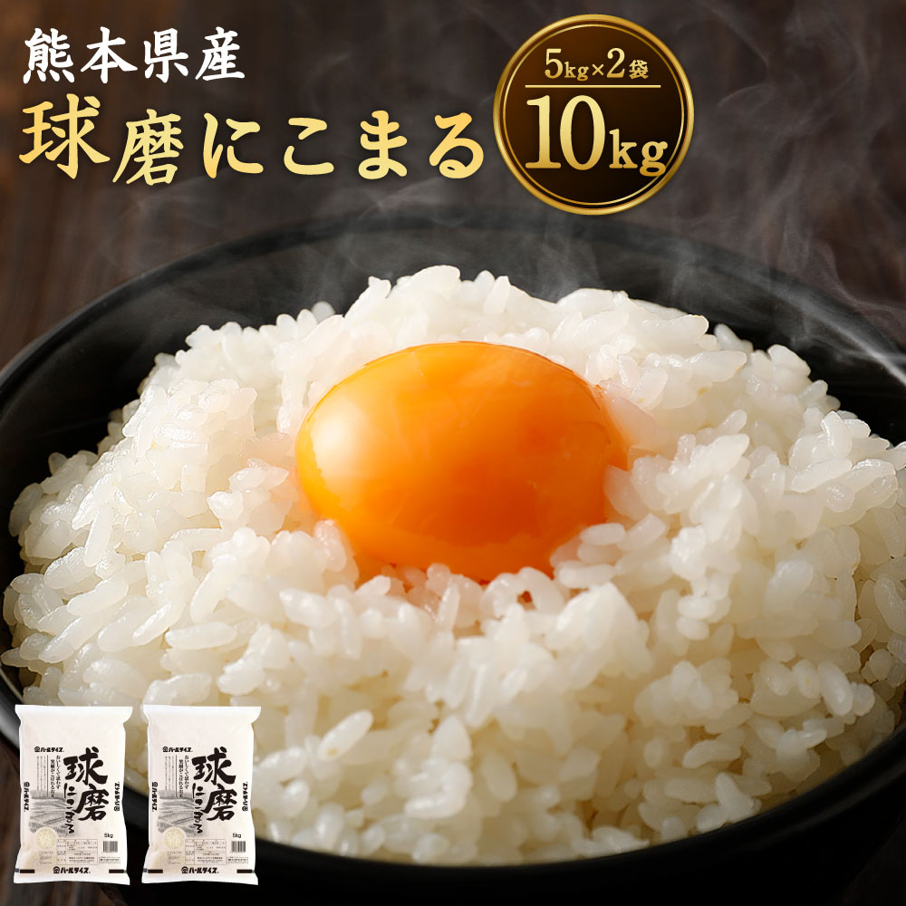 【ふるさと納税】球磨 にこまる 10kg (5kg×2袋) 熊本県産 人吉・球磨産 令和5年産 ご飯 ごはん 白米 お米 送料無料