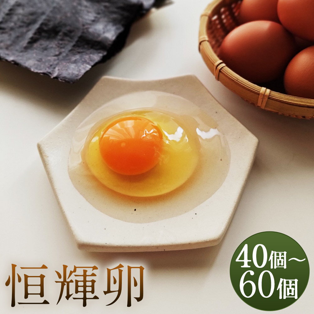 【ふるさと納税】海苔と焼酎粕を食べて育った平飼い卵 恒輝卵 40個/60個 選べる内容量 MS~LL混合 九州産 熊本県産 人吉 鶏卵 卵 卵焼き たまご 濃厚 送料無料