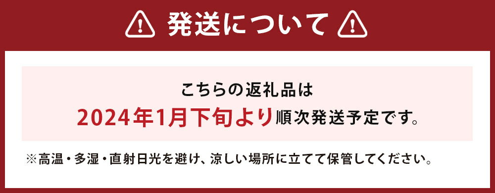 【ふるさと納税】白ネギ 20本 2Lサイズ 葱 ねぎ 長ネギ 野菜 熊本県産 九州産 送料無料 【2024年1月下旬より順次発送予定】