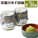 【ふるさと納税】人吉球磨の球磨川ゆず胡椒 40g 8本/12本/16本/20本/24本/30本 選べる内容量 無添加 天然柚子 青ゆず 調味料 こしょう 柚子 ...