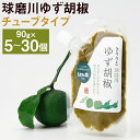 【ふるさと納税】人吉球磨の球磨川ゆず胡椒 チューブタイプ 90g 5個/10個/15個/20個/30個 選べる内容量 無添加 天然柚子 青ゆず 調味料 こしょう...