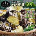 人吉球磨産 しいたけ 訳あり椎茸 300g×2袋 合計600g 椎茸 ご家庭用 熊本県人吉産 原木栽培椎茸 乾しいたけ 干し椎茸 干ししいたけ 乾椎茸 九州 業務用 送料無料