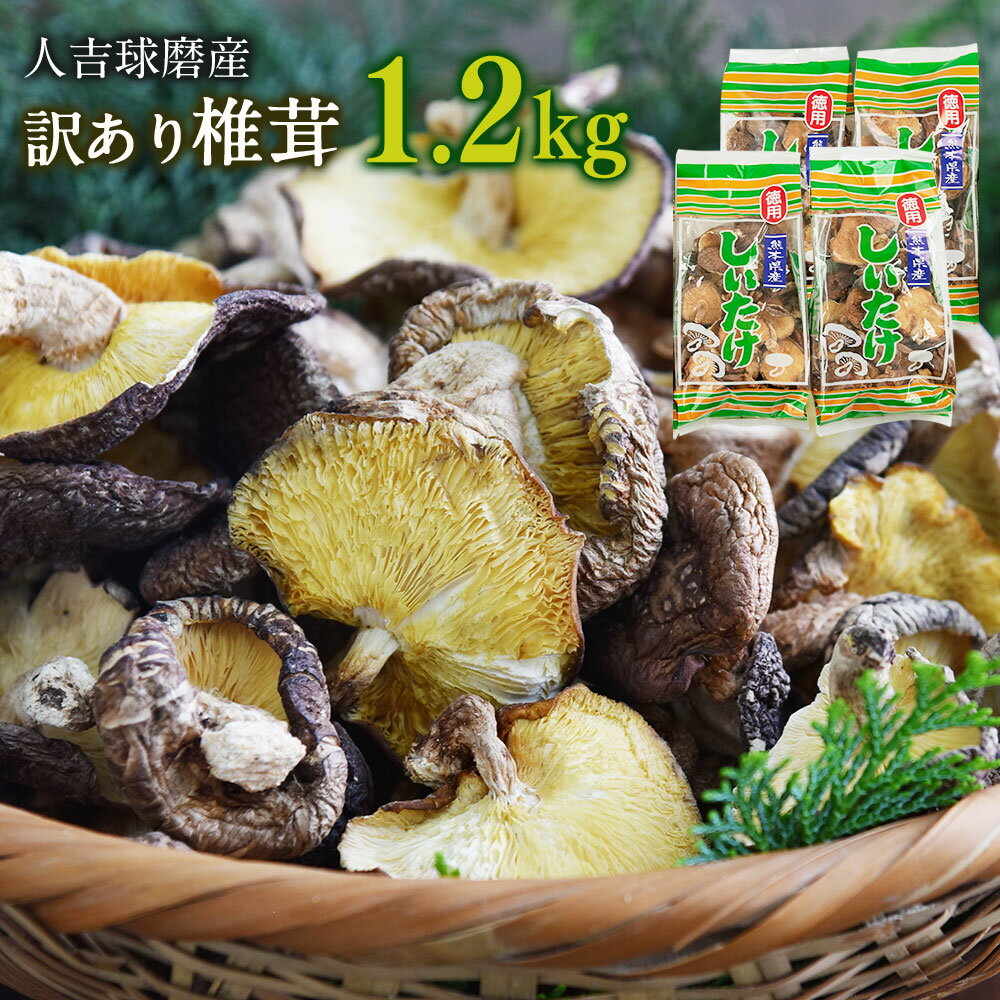 【ふるさと納税】人吉球磨産 しいたけ 訳あり椎茸 合計1.2kg 300g×4袋 椎茸 ご家庭用 熊本県人吉産 原木栽培椎茸 乾しいたけ 干し椎茸 干ししいたけ 乾椎茸 きのこ 九州 業務用 送料無料