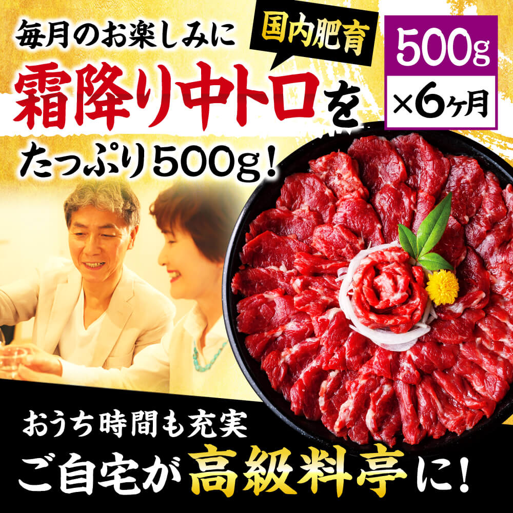 【ふるさと納税】【6ヶ月定期便】熊本馬刺し 霜降りたっぷり約500g×6回お届け 1回約50g×10パック 6ヶ月 定期便 専用醤油付き 馬刺し 国内肥育 冷凍 送料無料