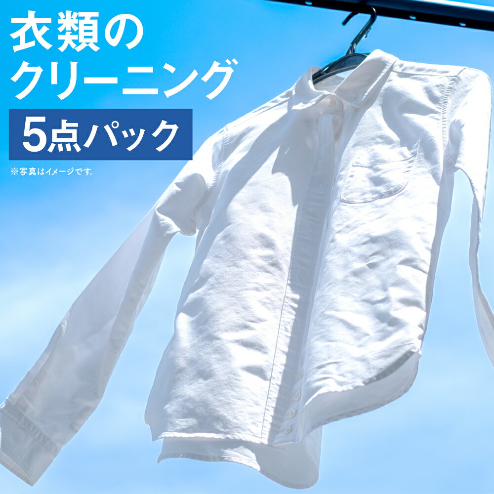 個別洗濯!衣類のクリーニング 5点パック 宅配 クリーニング 個別洗い 新生活 サービス 熊本県 人吉市 送料無料