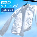 【ふるさと納税】個別洗濯！衣類のクリーニング 5点パック 宅配 クリーニング 個別洗い 新生活 サービス 熊本県 人吉市 送料無料