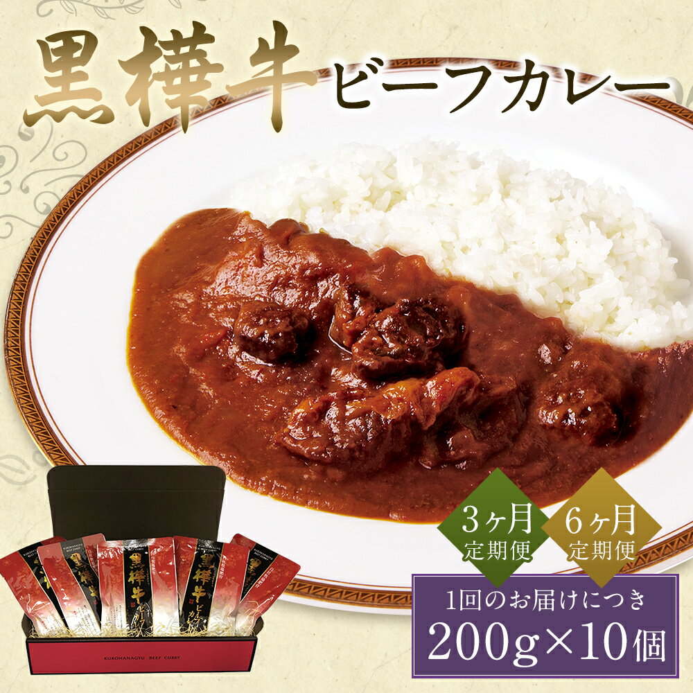 【ふるさと納税】【定期便】黒樺牛ビーフカレー 200g×10個 3ヶ月定期便/6ヶ月定期便 カレー ビーフカレー 黒樺牛 くろはなぎゅう レトルトカレー レトルト食品 レトルト セット 送料無料