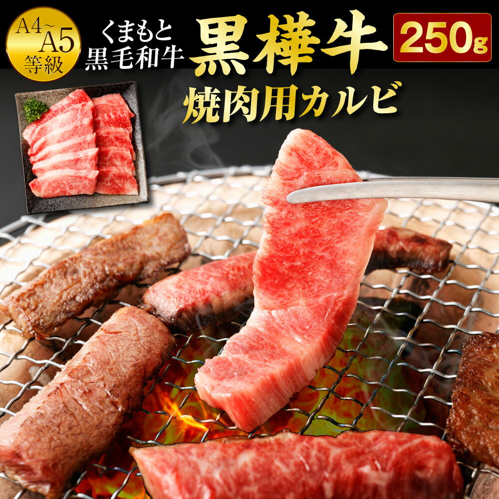 yӂ邳Ɣ[Łz܂ƍјa  A4`A5 ēpJr 250g Ă BBQ ~ Ԑg  a   јa Y BY F{Y Ⓚ 