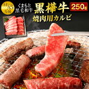 yӂ邳Ɣ[Łz܂ƍјa  A4`A5 ēpJr 250g Ă BBQ ~ Ԑg  a   јa Y BY F{Y Ⓚ 