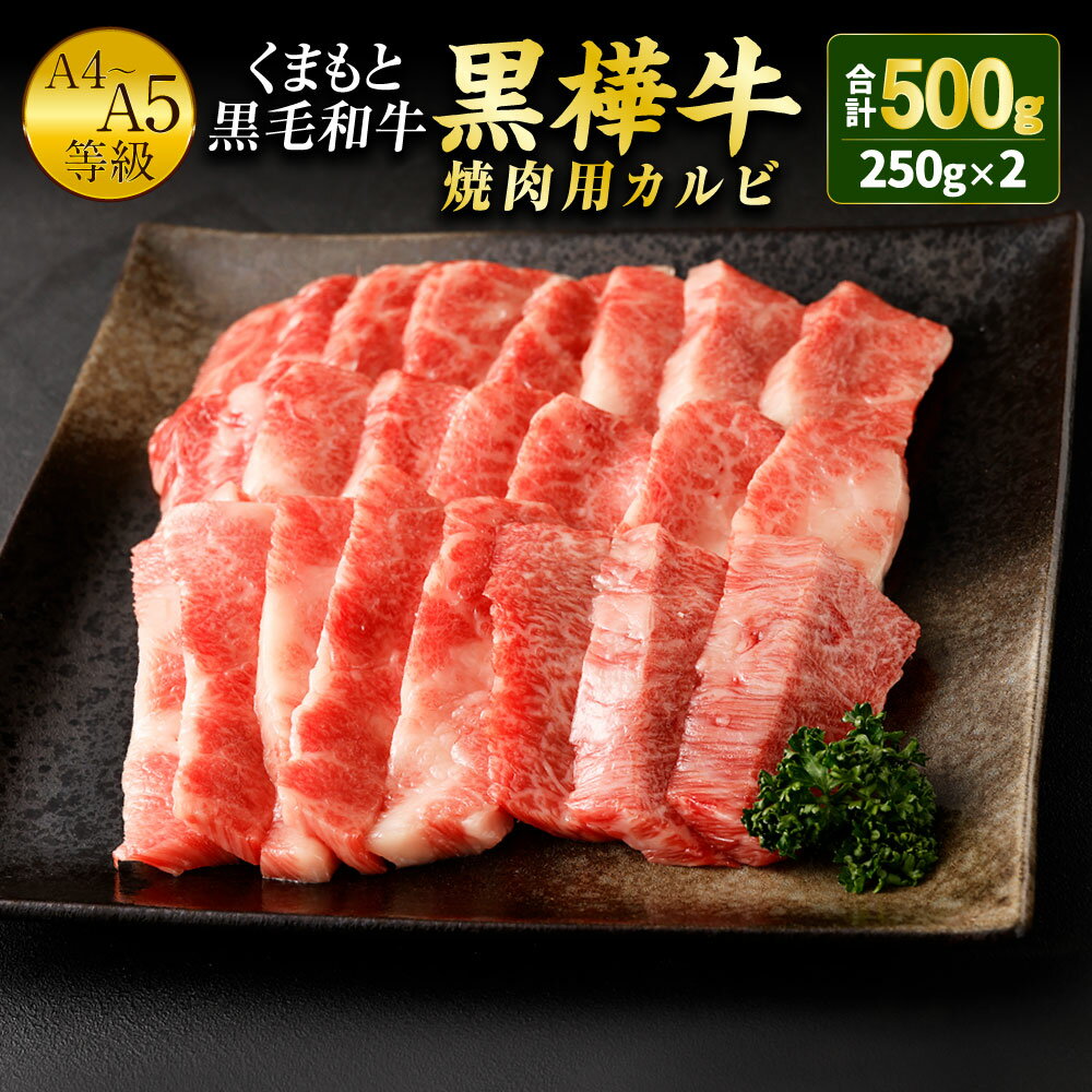 くまもと黒毛和牛 黒樺牛 A4〜A5等級 焼肉用カルビ 250g×2パック 合計500g 焼き肉 BBQ 霜降り 赤身 牛肉 和牛 くろはなぎゅう 牛 お肉 黒毛和牛 国産 九州産 熊本県産 冷凍 送料無料
