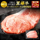 【ふるさと納税】<3回定期便> くまもと黒毛和牛 黒樺牛 A4~A5等級 サーロインステーキ定期便 400g×3回 合計1.2kg 和牛 くろはなぎゅう お肉 牛肉 黒毛和牛 霜降り ステーキ 定期便 国産 九州産 熊本県産 冷凍 送料無料