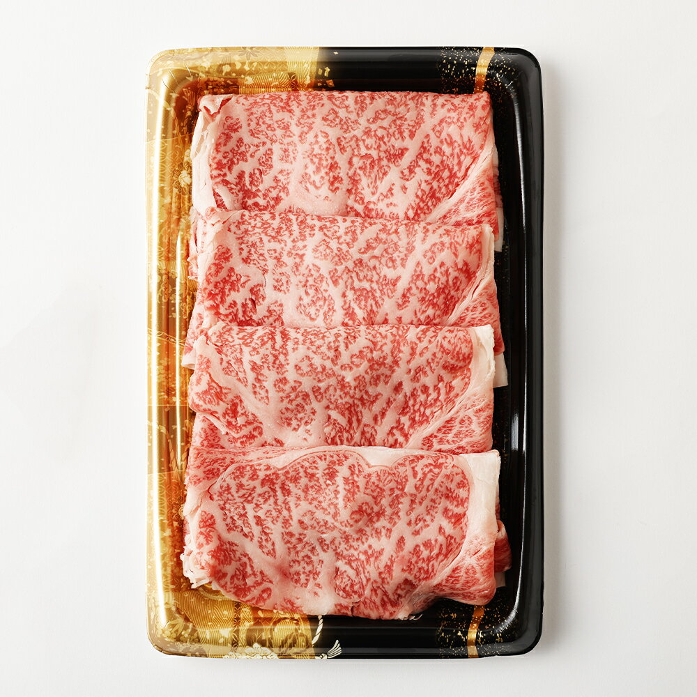 熊本県人吉市の画像3