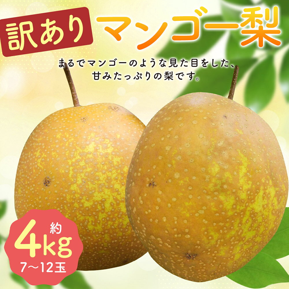 【ふるさと納税】訳あり マンゴー梨 約4kg 7～12玉 ご家庭用 キズあり 黒斑あり 王秋梨 なし フルーツ 果物 球磨郡産 熊本県産 九州産 人吉市 送料無料【2026年10月下旬～12月下旬迄順次発送予定】 f432032-hitoyoshi-10002471 熊本県人吉市 サンプル画像2