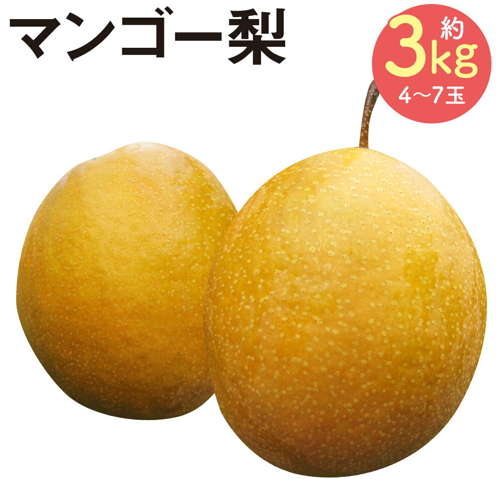 【ふるさと納税】マンゴー梨 約3kg 4～7玉 王秋梨 なし フルーツ 果物 球磨郡産 熊本県産 九州産 人吉市 送料無料【2024年10月下旬より順次発送予定】