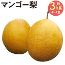 【ふるさと納税】マンゴー梨 約3kg 4～7玉 王秋梨 なし フルーツ 果物 球磨郡産 熊本県産 九州産 人吉市 送料無料【2024年10月下旬より順次発送予定】