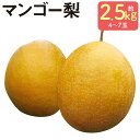 【ふるさと納税】王秋梨 ( マンゴー梨 ) 約2.5kg 4~7玉 なし フルーツ 果物 球磨郡産 熊本県産 九州産 人吉市 送料無料【2025年10月下旬より12月下旬迄順次発送予定】
